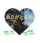 いいえ、気にしないで。日本語の挨拶 ラブ（個別スタンプ：3）