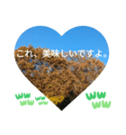 いいえ、気にしないで。日本語の挨拶 ラブ（個別スタンプ：8）