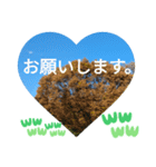 いいえ、気にしないで。日本語の挨拶 ラブ（個別スタンプ：14）