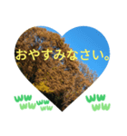 いいえ、気にしないで。日本語の挨拶 ラブ（個別スタンプ：16）