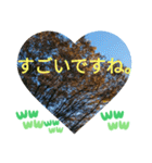 いいえ、気にしないで。日本語の挨拶 ラブ（個別スタンプ：18）