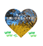 いいえ、気にしないで。日本語の挨拶 ラブ（個別スタンプ：19）