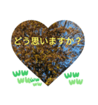 いいえ、気にしないで。日本語の挨拶 ラブ（個別スタンプ：21）