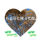 いいえ、気にしないで。日本語の挨拶 ラブ（個別スタンプ：23）