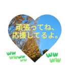 いいえ、気にしないで。日本語の挨拶 ラブ（個別スタンプ：30）