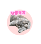 ねこのこはるちゃん（個別スタンプ：7）