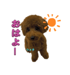 ウメ子の日常スタンプ（個別スタンプ：1）
