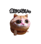 猫ミーム【マカロン猫】（個別スタンプ：13）