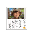 あおかい1（個別スタンプ：13）