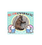 おはぎサビ猫（個別スタンプ：6）