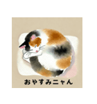 かわいい猫のお昼寝コレクション（個別スタンプ：1）