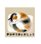 かわいい猫のお昼寝コレクション（個別スタンプ：4）