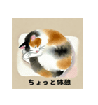 かわいい猫のお昼寝コレクション（個別スタンプ：5）