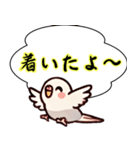 セキセイインコのひとこと（個別スタンプ：1）