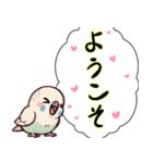 セキセイインコのひとこと（個別スタンプ：3）