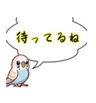 セキセイインコのひとこと（個別スタンプ：10）