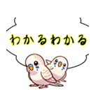 セキセイインコのひとこと（個別スタンプ：12）