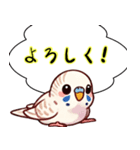 セキセイインコのひとこと（個別スタンプ：13）