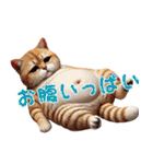 ねこグルメの日常（個別スタンプ：10）