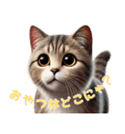 ねこグルメの日常（個別スタンプ：12）