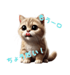 ねこグルメの日常（個別スタンプ：17）