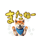 柴犬さんのデカ文字スタンプ（個別スタンプ：24）