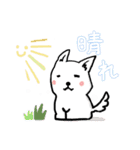 白い柴犬さん2（個別スタンプ：2）