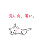 白い柴犬さん2（個別スタンプ：13）