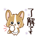 愛犬コーギーdeごあいさつ♡毎日（個別スタンプ：2）