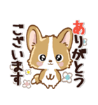 愛犬コーギーdeごあいさつ♡毎日（個別スタンプ：4）