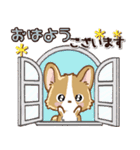 愛犬コーギーdeごあいさつ♡毎日（個別スタンプ：9）