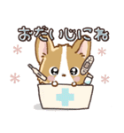 愛犬コーギーdeごあいさつ♡毎日（個別スタンプ：25）