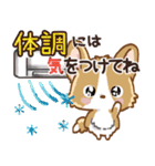 愛犬コーギーdeごあいさつ♡毎日（個別スタンプ：27）