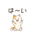 色々にゃんこ 毎日使う言葉（個別スタンプ：3）