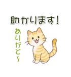 色々にゃんこ 毎日使う言葉（個別スタンプ：19）