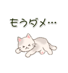 色々にゃんこ 毎日使う言葉（個別スタンプ：32）