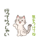 色々にゃんこ 毎日使う言葉（個別スタンプ：37）