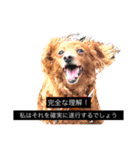 愉快！うちのいぬ（個別スタンプ：9）