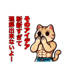 筋肉ねこシリーズ②（個別スタンプ：5）