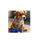 犬猫スタンプ！！！！！（個別スタンプ：8）