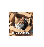 犬猫スタンプ！！！！！（個別スタンプ：13）