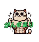 筋肉ねこシリーズ①（個別スタンプ：3）