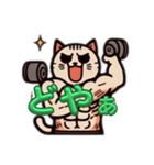 筋肉ねこシリーズ①（個別スタンプ：4）