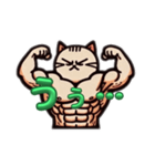 筋肉ねこシリーズ①（個別スタンプ：5）