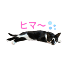 いごちゃんのごあいさつ（個別スタンプ：2）
