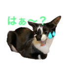 いごちゃんのごあいさつ（個別スタンプ：4）