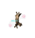 神様くん①（個別スタンプ：4）