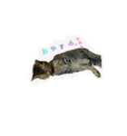 神様くん①（個別スタンプ：6）
