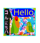 幸運なコザクラインコ（個別スタンプ：1）