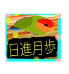 幸運なコザクラインコ（個別スタンプ：38）